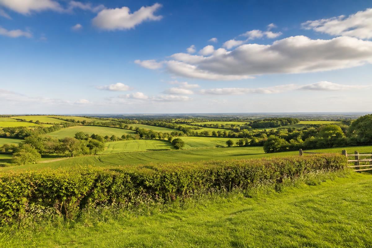 Where can I have lens replacement and laser eye surgery in Essex?