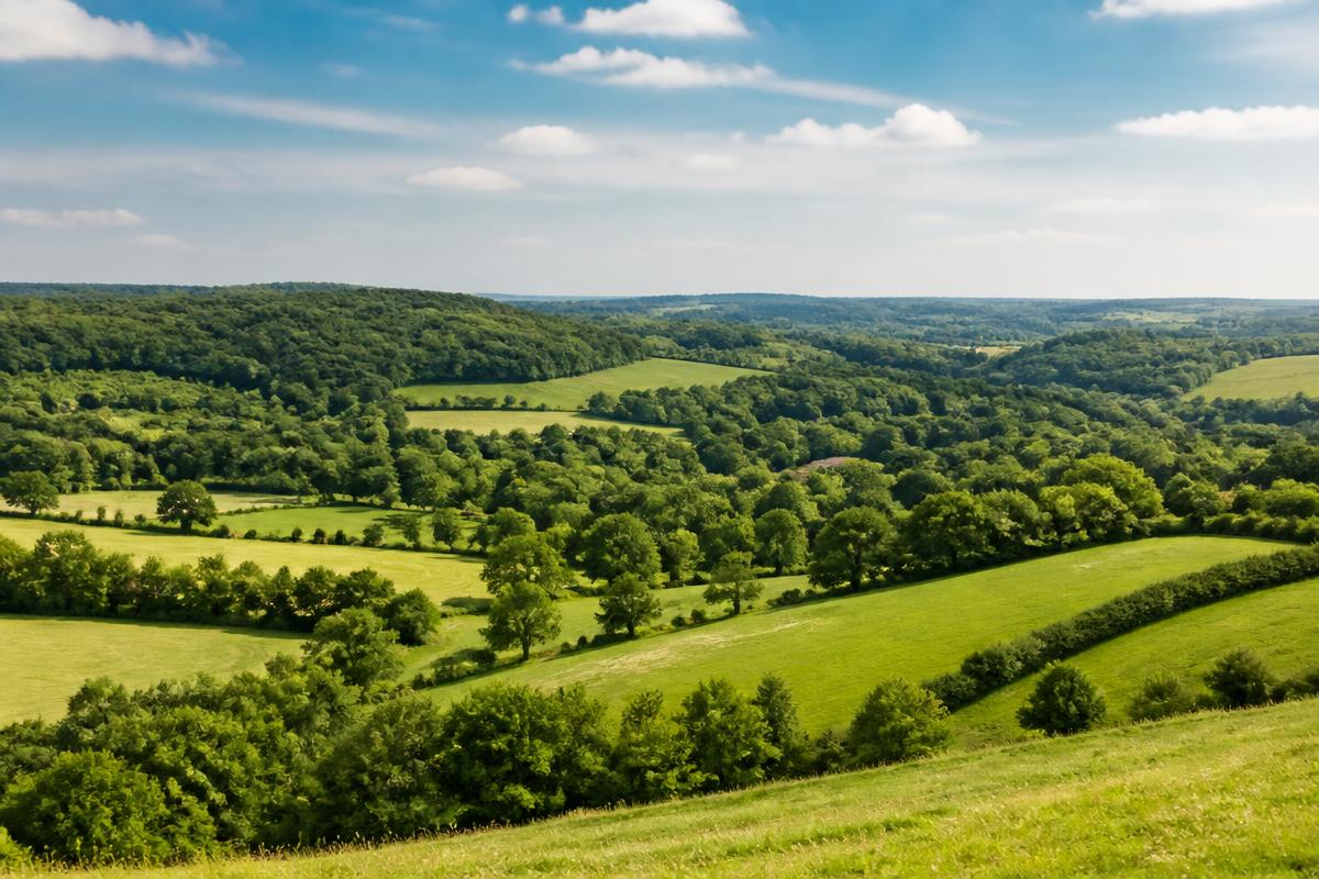 Where can I have lens replacement and laser eye surgery in Surrey?